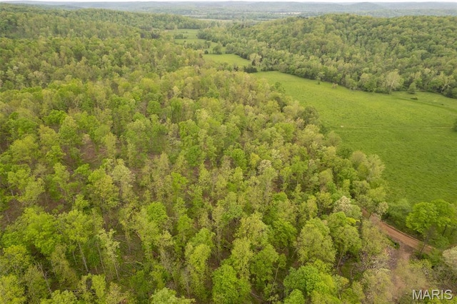 drone / aerial view of a forest