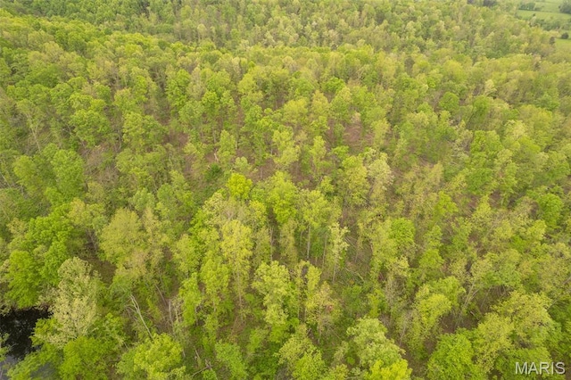 aerial view of a forest