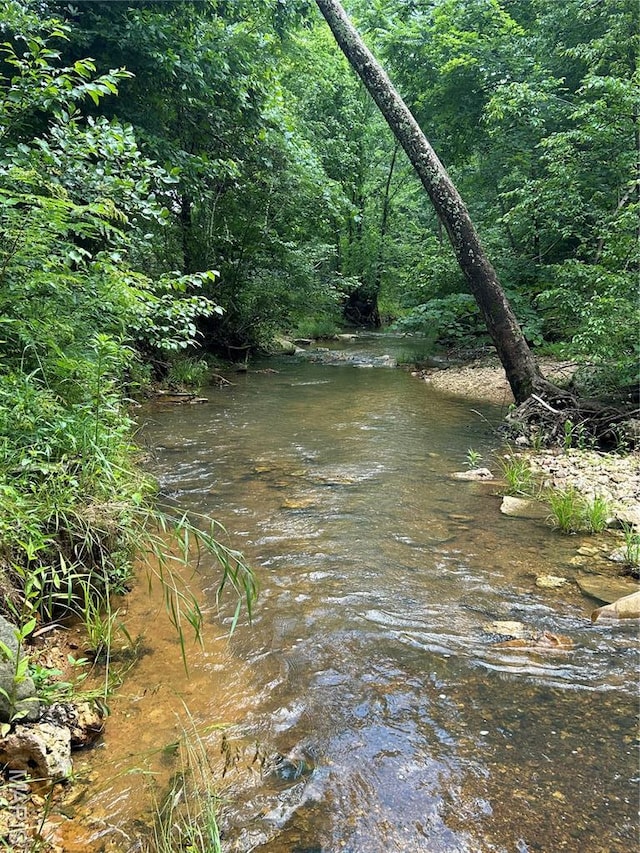 5754 Wayne 421, Mill Spring, MO 63952 - water view with a forest