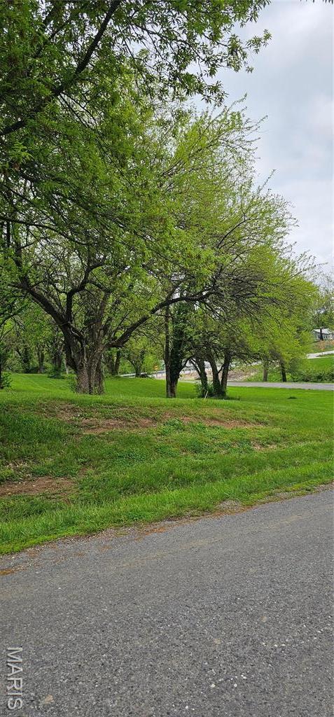 LOT55 Sycamore St, Grafton, IL 62037 - photo 5