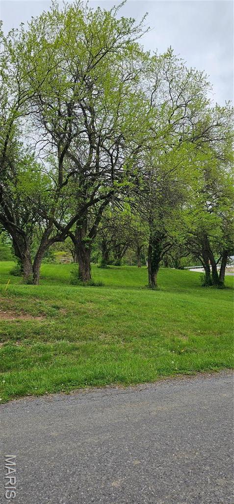 LOT55 Sycamore St, Grafton, IL 62037 - photo 6
