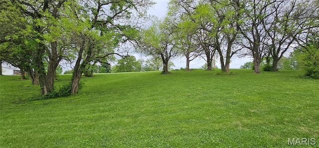 LOT55 Sycamore St, Grafton, IL 62037 - photo 1
