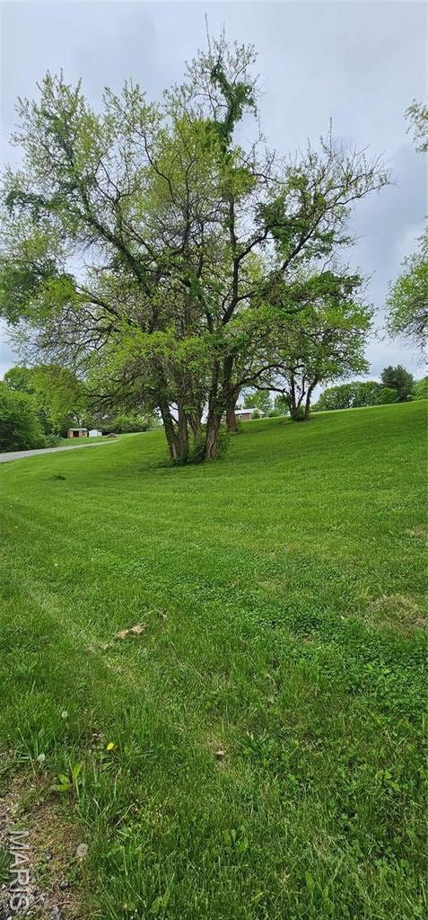 LOT55 Sycamore St, Grafton, IL 62037 - photo 8