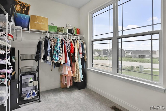 112 Westhaven View Dr, Wentzville, MO 63385 - spacious closet with carpet