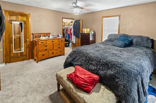113 Orchard Dr, Belleville, IL 62221 - bedroom with carpet floors, a walk in closet, a closet, and a ceiling fan