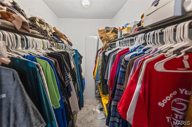 113 Orchard Dr, Belleville, IL 62221 - spacious closet featuring carpet