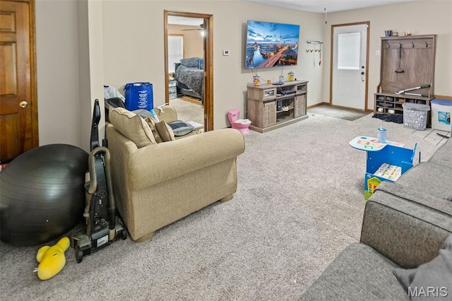 113 Orchard Dr, Belleville, IL 62221 - carpeted living room with baseboards