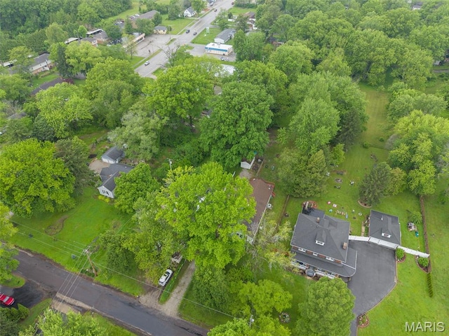 113 Orchard Dr, Belleville, IL 62221 - bird's eye view