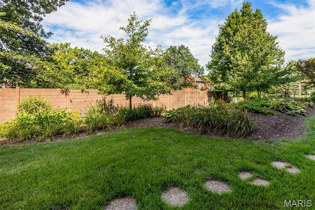 440 E Lockwood Ave Unit 104, Saint Louis, MO 63119 - photo 40
