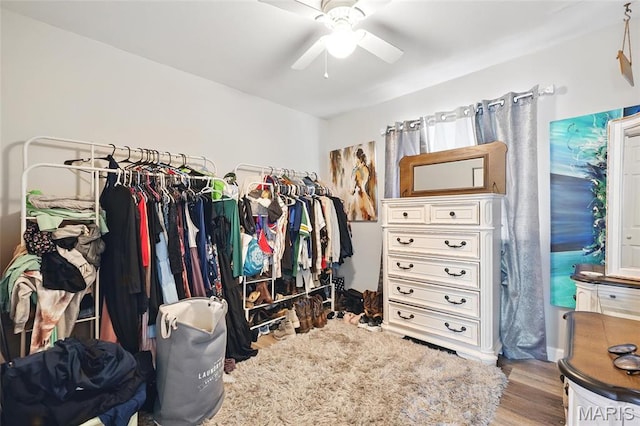 spacious closet featuring a ceiling fan and wood finished floors