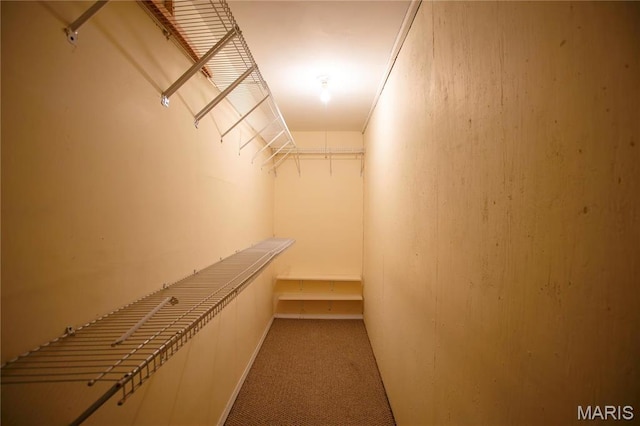 1014 Pine St, Sikeston, MO 63801 - walk in closet with carpet flooring