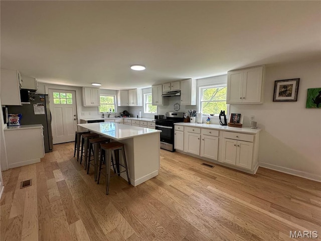 17260 Carver Dr, New London, MO 63459 - kitchen with appliances with stainless steel finishes, under cabinet range hood, light wood-style floors, a kitchen island, and light countertops