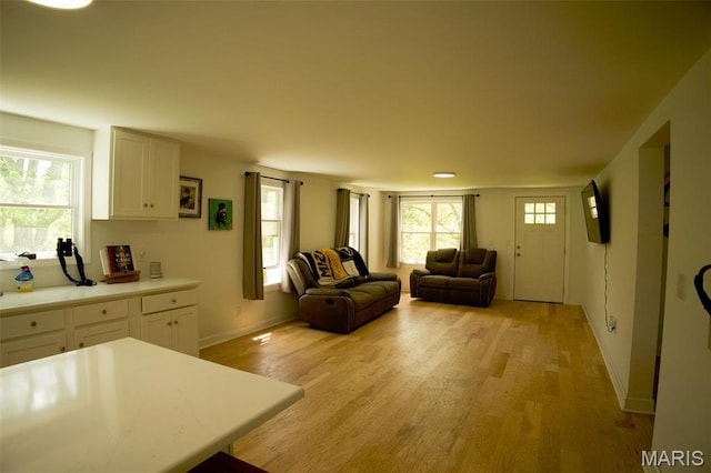 17260 Carver Dr, New London, MO 63459 - living room with light wood-style flooring and baseboards