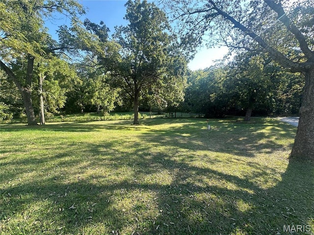 17260 Carver Dr, New London, MO 63459 - view of grassy yard