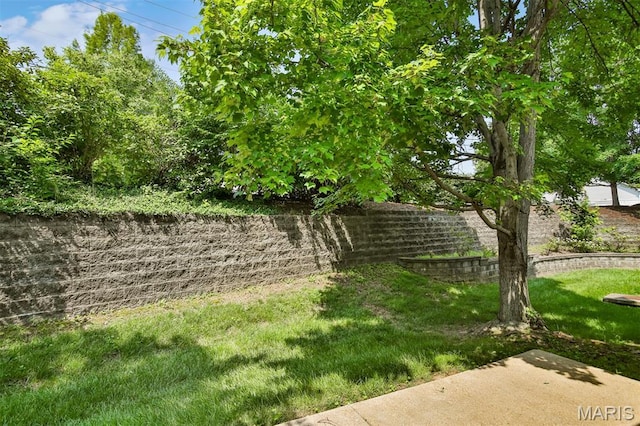 15416 Braefield Dr, Chesterfield, MO 63017 - photo 45