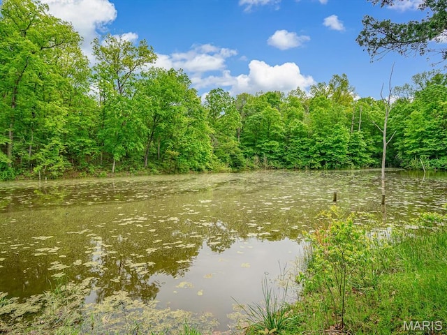 water view featuring a heavily wooded area