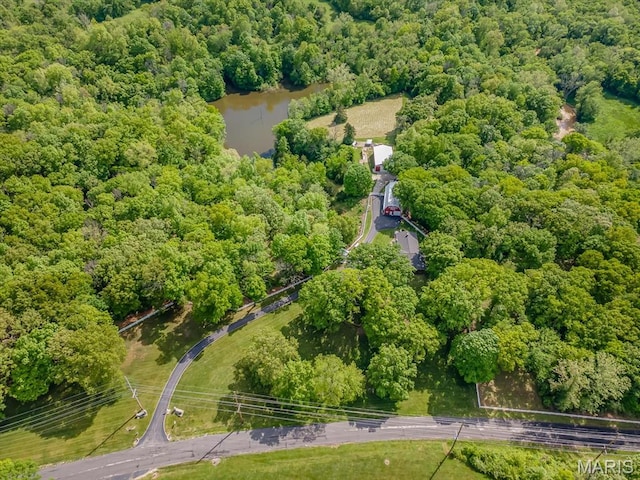 aerial view of a heavily wooded area and a large body of water