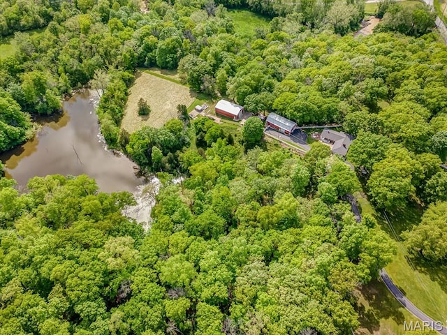 aerial view of a nearby body of water and a forest