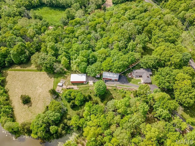 aerial view of a forest