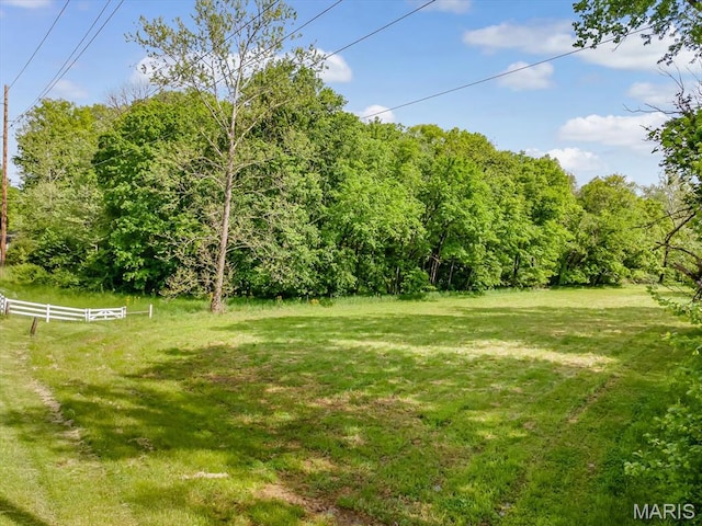 view of yard featuring a wooded view
