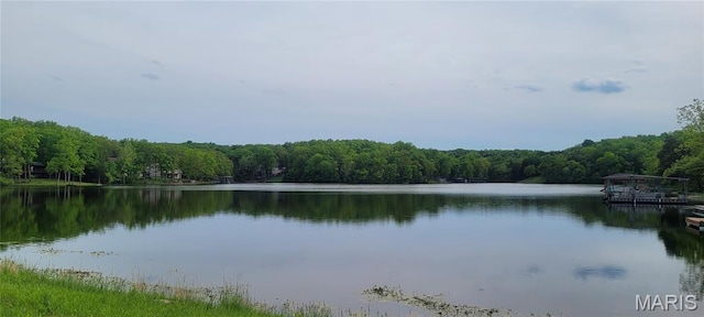 0 Glen Echo Dr, De Soto, MO 63020 - photo 6