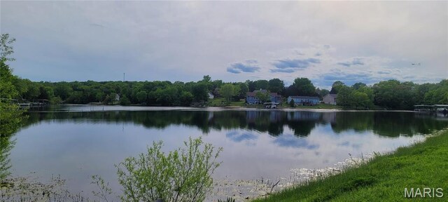 0 Glen Echo Dr, De Soto, MO 63020 - photo 16