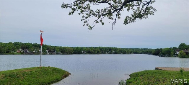 0 Glen Echo Dr, De Soto, MO 63020 - photo 19