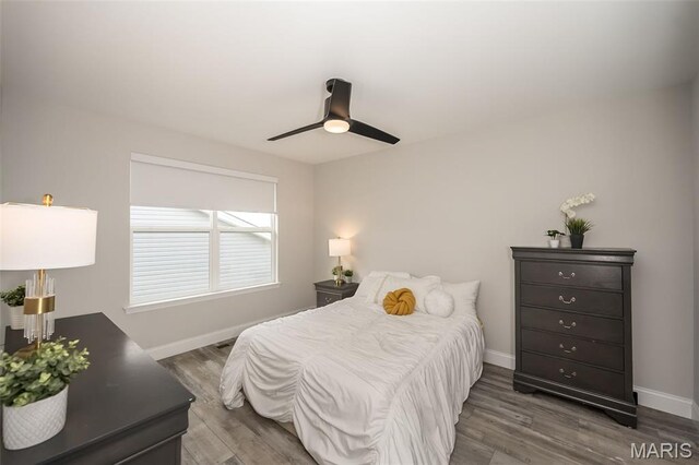 6431 Preservation Pkwy, Saint Louis, MO 63123 - photo 37