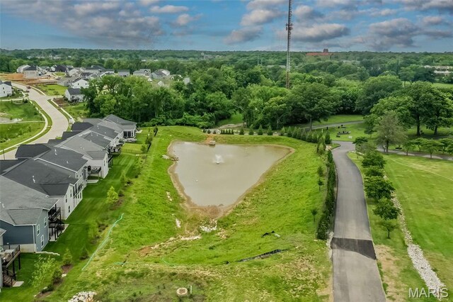6431 Preservation Pkwy, Saint Louis, MO 63123 - photo 58