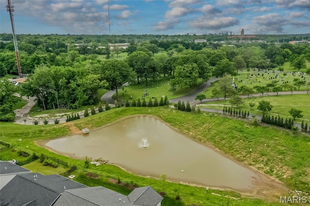 6431 Preservation Pkwy, Saint Louis, MO 63123 - photo 59