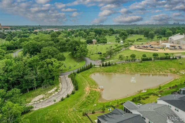 6431 Preservation Pkwy, Saint Louis, MO 63123 - photo 60