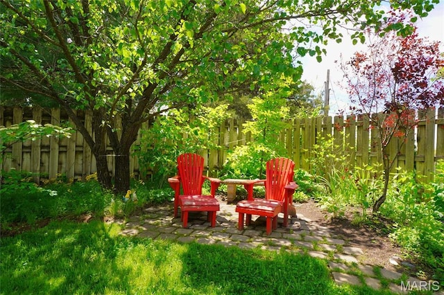 fenced backyard featuring a patio