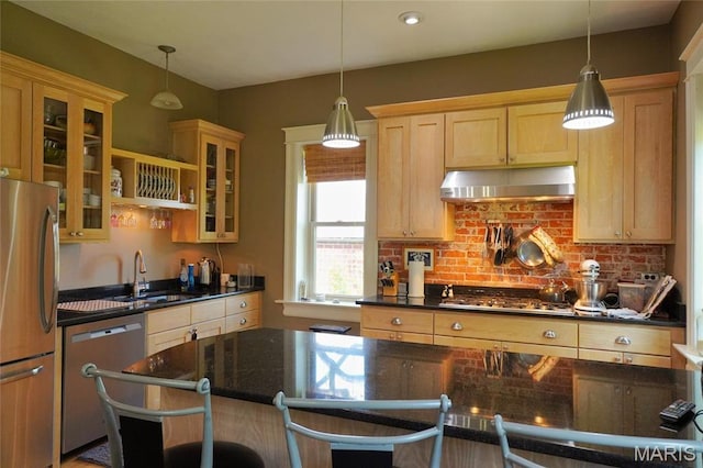 kitchen with appliances with stainless steel finishes, under cabinet range hood, a sink, glass insert cabinets, and backsplash