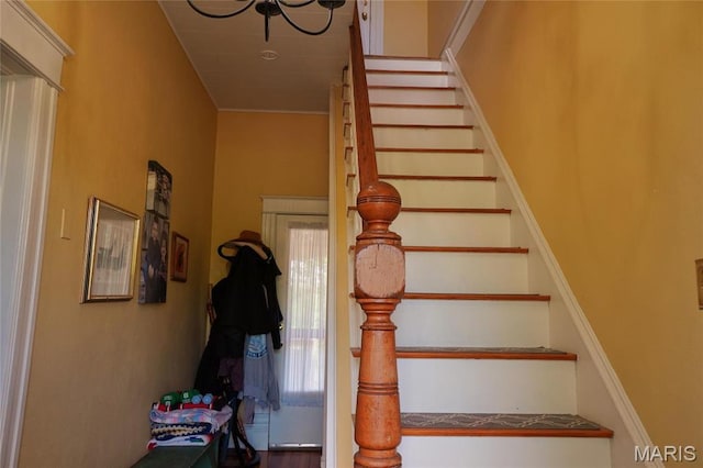 stairs with healthy amount of natural light