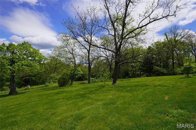 view of grassy yard