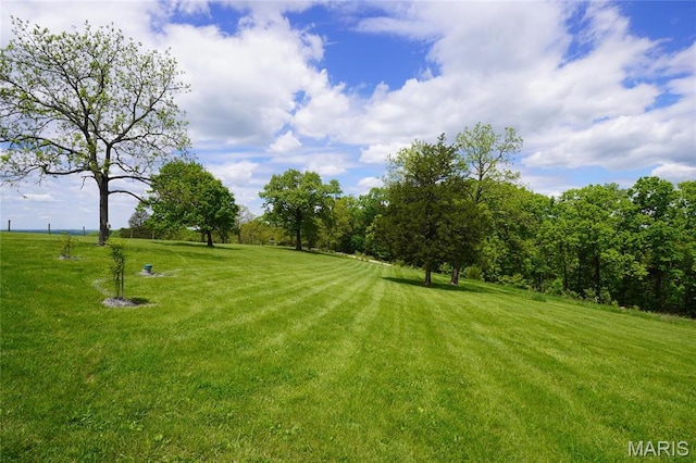 view of grassy yard
