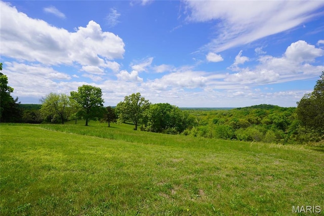 view of wooded area with a view of rural / pastoral area