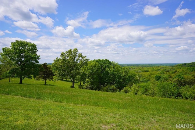 view of local wilderness