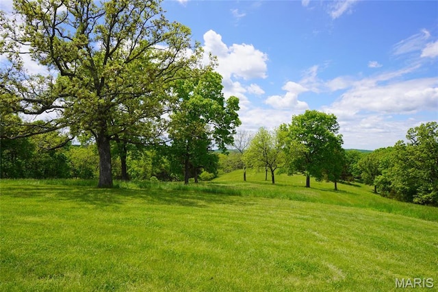 view of green lawn