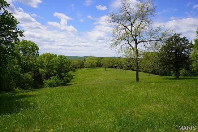 view of tree filled area