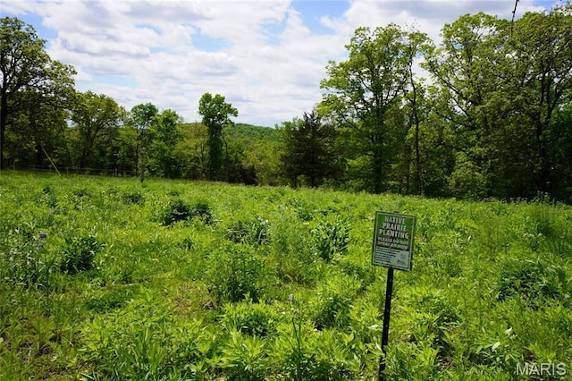 view of tree filled area