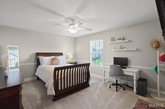 54 Roth Ct, Wentzville, MO 63385 - photo 28