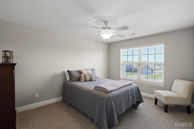 54 Roth Ct, Wentzville, MO 63385 - photo 33