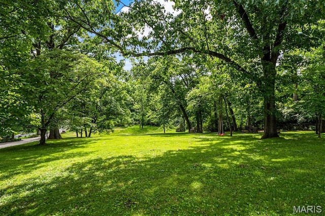7 Robin Hill Ln, Ladue, MO 63124 - view of grassy yard