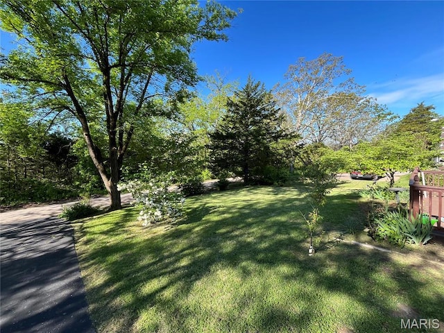 152 Burchwood Dr, St James, MO 65559 - view of green lawn