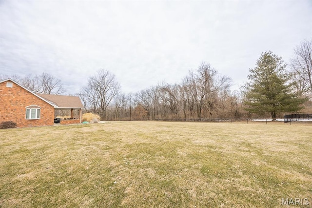 9 Shellie Ct, Fairview Heights, IL 62208 - view of green lawn