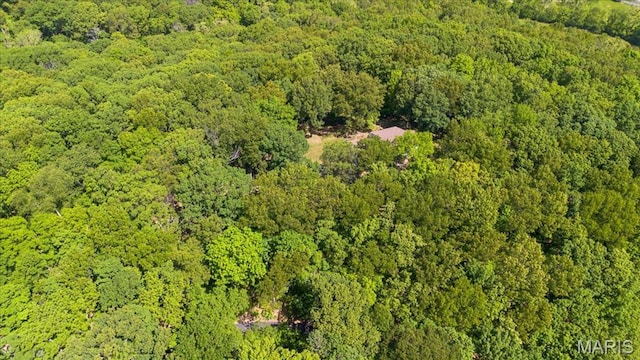 3743 Rock Creek Valley Rd, High Ridge, MO 63049 - view of property location featuring a forest