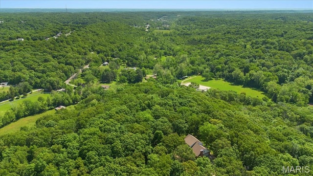3743 Rock Creek Valley Rd, High Ridge, MO 63049 - bird's eye view of a forest