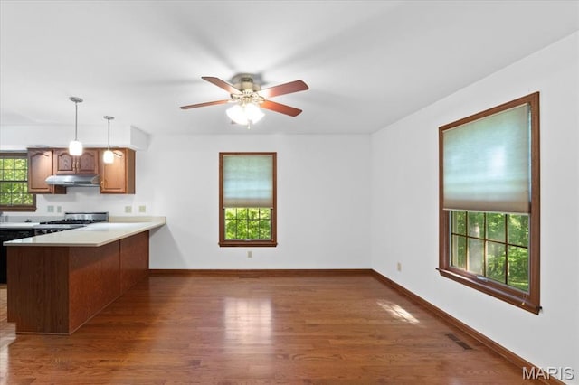3743 Rock Creek Valley Rd, High Ridge, MO 63049 - kitchen with under cabinet range hood, wood finished floors, stove, a peninsula, and a ceiling fan