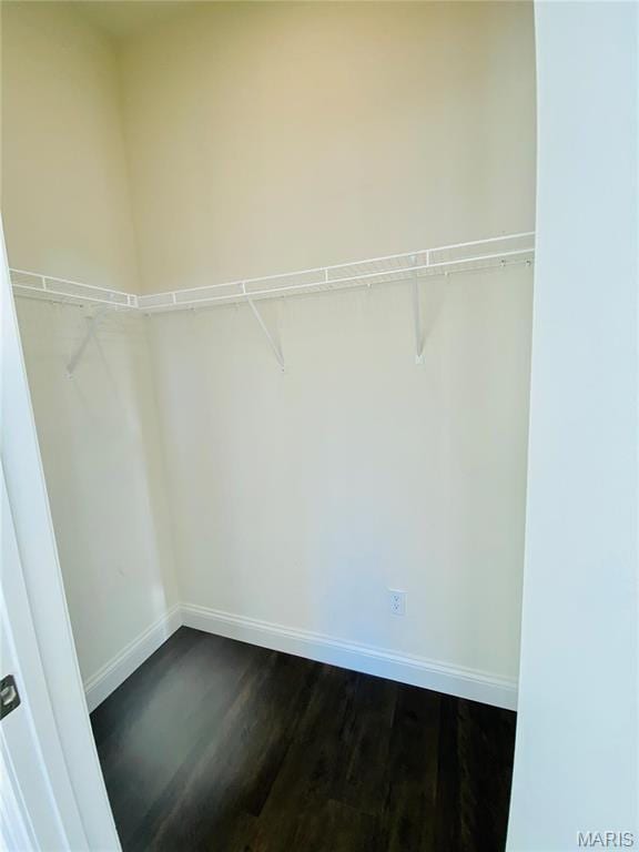4301 Maryland Ave Unit 2, Saint Louis, MO 63108 - walk in closet featuring dark wood-style flooring